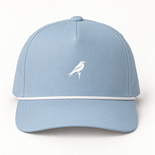 Powder Blue Bird