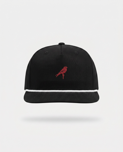 Black & Red Bird