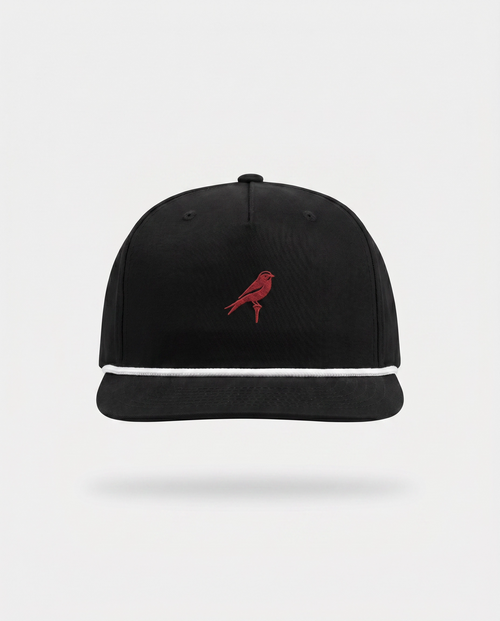Black & Red Bird
