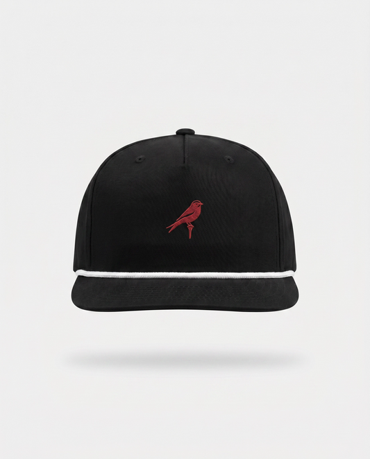Black & Red Bird