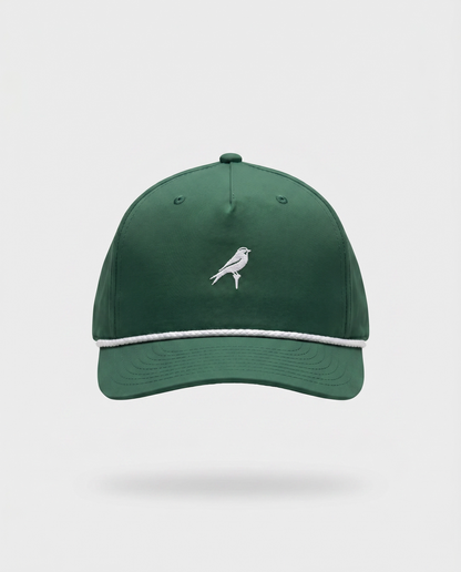 Green & White Bird
