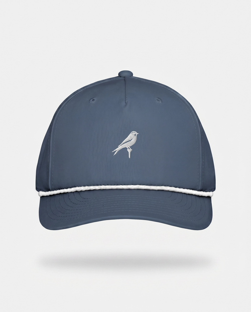 Blue & White Bird