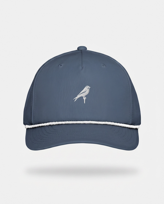 Blue & White Bird