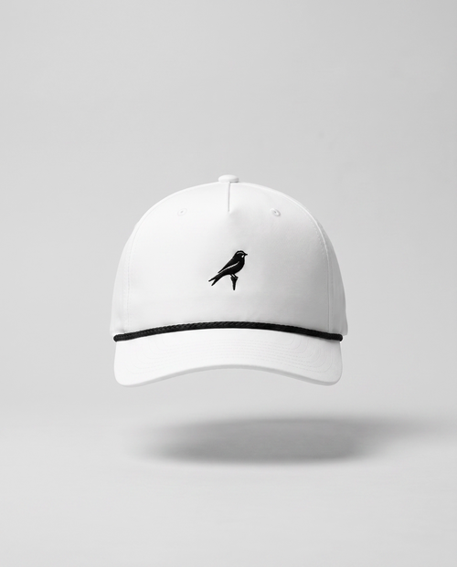 W&B Bird
